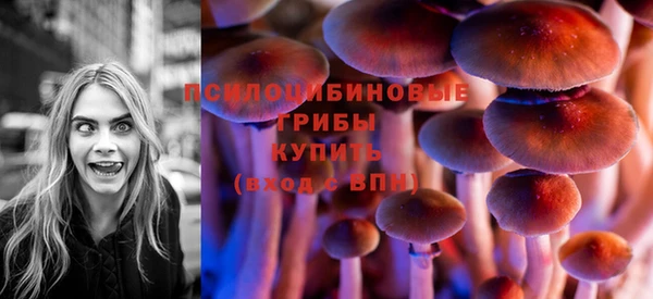 спиды Алзамай